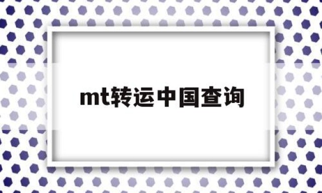 mt转运中国查询