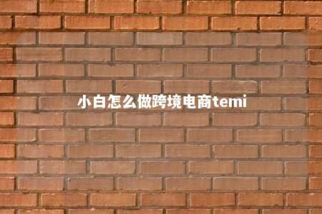 小白怎么做跨境电商temi 小白怎么做跨境电商,尤其英语方面